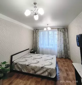 1-к кв. Санкт-Петербург просп. Народного ополчения, 179 (31.0 м)