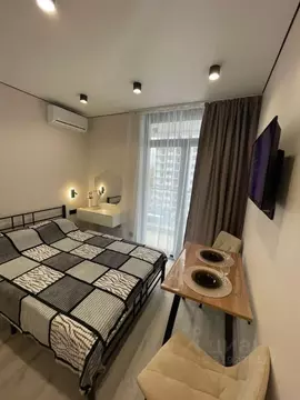 Студия Краснодарский край, Сочи Бытха мкр, ул. Ясногорская, 16/2к7 ...