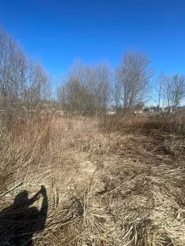 Участок в Владимирская область, Александровский муниципальный округ, ...