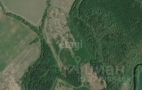 Участок в Калужская область, Боровский муниципальный округ, ...