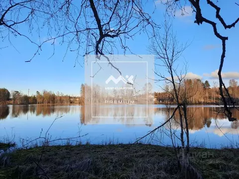 Участок в Ленинградская область, Всеволожский район, Куйвозовское ...