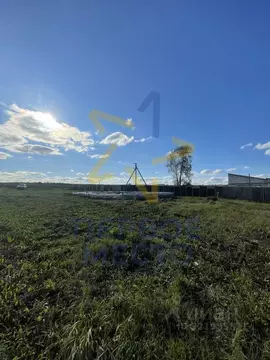 Участок в Башкортостан, Благовещенский район, Николаевский сельсовет, ...