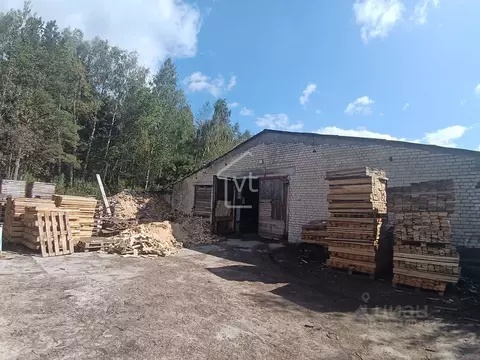 Производственное помещение в Владимирская область, Собинский ...