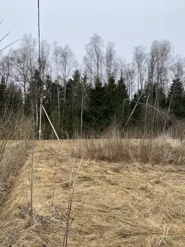 Участок в Московская область, Волоколамский муниципальный округ, ...