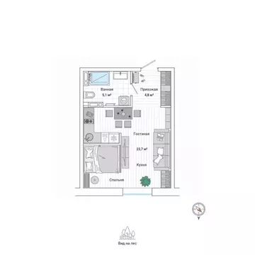 Студия Приморский край, Владивосток Гринвуд жилой комплекс (33.3 м)