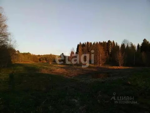 Участок в Вологодская область, Тотемский муниципальный округ, ...