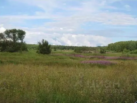 Участок в Ярославская область, Переславль-Залесский муниципальный ...