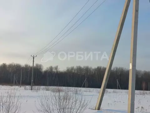 Участок в Тюменская область, Тюменский район, с. Горьковка  (4.0 сот.)