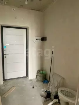 Студия Пермский край, Пермь ул. Татьяны Барамзиной, 38 (28.0 м)