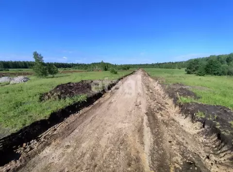 Участок в Тюменская область, Нижнетавдинский муниципальный округ, ...