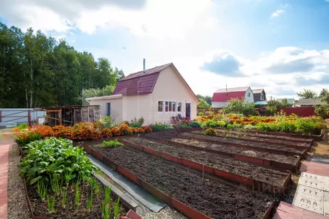 Коттедж в Тюменская область, Тюмень Плодовое СНТ, ул. Лесная, 27 (50 ...