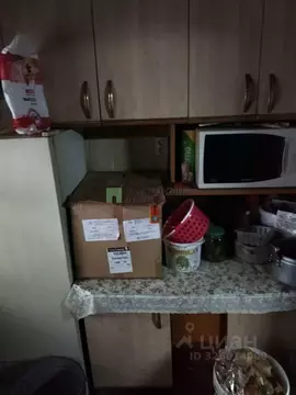 Дом в Орловская область, Орел Васильковая ул., 24 (49 м)