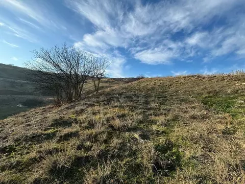 Участок в Крым, Алушта муниципальный округ, с. Приветное  (4.0 сот.)