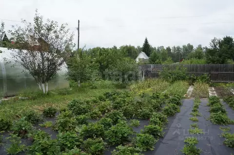 Участок в Тюменская область, Тюменский муниципальный округ, Птицевод ...