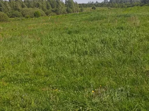 Участок в Московская область, Рузский муниципальный округ, д. Орешки  ...