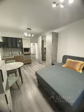 Студия Санкт-Петербург ул. Ультрамариновая, 5 (24.4 м)