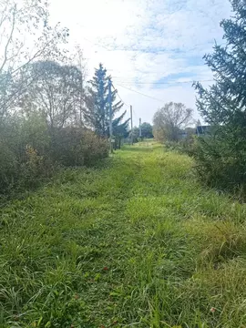 Участок в Новгородская область, Новгородский район, Ермолинское с/пос, ...