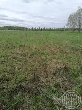 Участок в Ленинградская область, Лужский район, Володарское с/пос ...