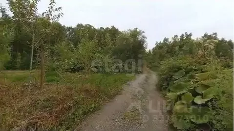 Участок в Сахалинская область, Долинский городской округ, с. Сокол, ...