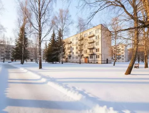 2-к кв. Псковская область, Гдовский район, Добручинская волость, пос. ...