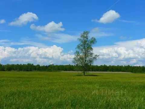 Участок в Московская область, Одинцовский городской округ, с. Дубки, ...