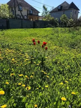 Участок в Москва Язово СНТ, 366с1 (4.0 сот.)