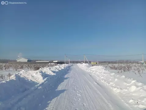 Участок в Московская область, муниципальный округ Чехов, деревня ...