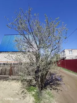 Участок в Волгоградская область, Городищенский район, Царицынское ...