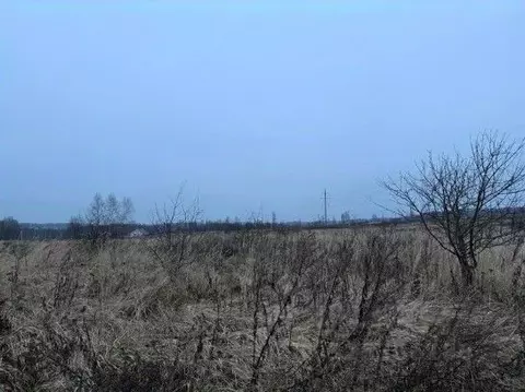 Участок в Московская область, Серпухов городской округ, д. Нефедово  ...