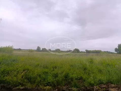 Участок в Калининградская область, Гурьевский муниципальный округ, ...