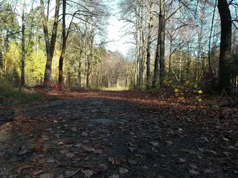 Продается участок в д. Антоново