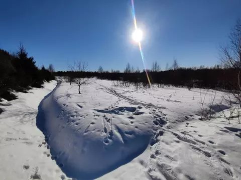 Участок в Московская область, Дмитровский муниципальный округ, д. ...