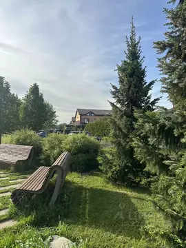 Участок в Московская область, Мытищи городской округ, д. Шолохово ...