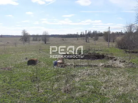 Участок в Ленинградская область, Волосовский район, Большеврудское ...