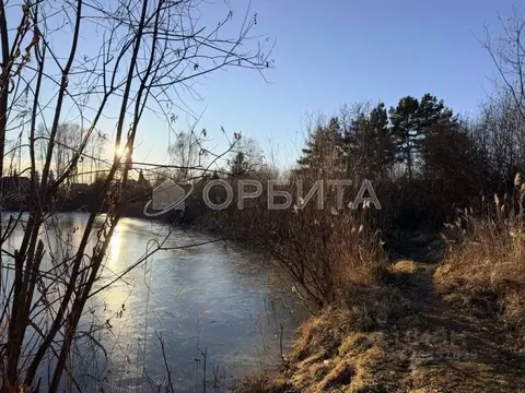 Участок в Тюменская область, Нижнетавдинский муниципальный округ, ...