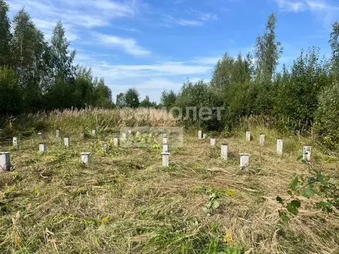 Участок в Ивановская область, Ивановский район, Новоталицкое с/пос, д. ...