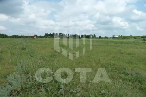Участок в Воронежская область, Новоусманский район, Хреновское с/пос, ...
