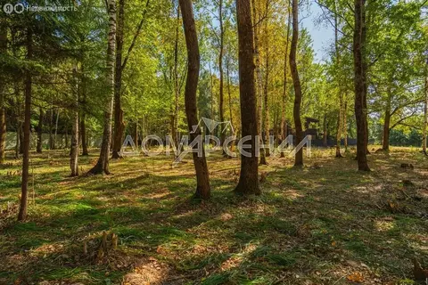 Участок в Наро-Фоминский городской округ, территория ЗАО Нара, 25/33-9 ...