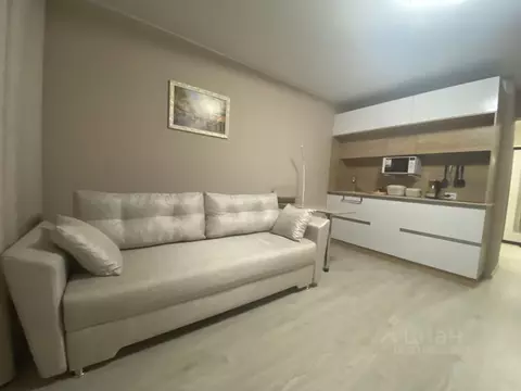 Студия Ленинградская область, Мурино Всеволожский район, ул. ...