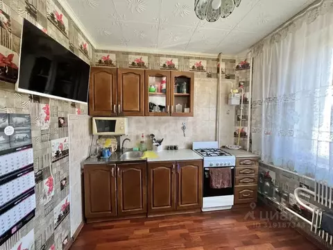 3-к кв. Белгородская область, Строитель Яковлевский городской округ, ...