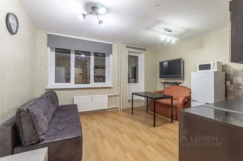 Студия Санкт-Петербург пос. Парголово, ул. Николая Рубцова, 5 (28.0 м)