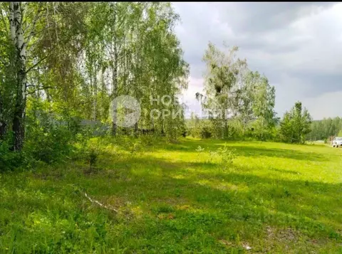 Участок в Свердловская область, Ревда муниципальный округ, с. Кунгурка ...