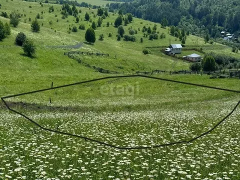 Участок в Алтай, Майминский район, с. Кызыл-Озек  (9.5 сот.)