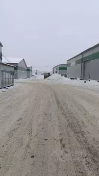 Помещение свободного назначения в Московская область, Домодедово ...