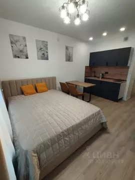 Студия Москва Дорожная ул., 46к1 (20.0 м)