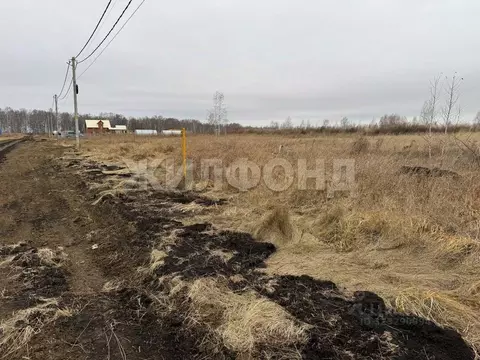 Участок в Новосибирская область, Новосибирский район, Верх-Тулинский ...