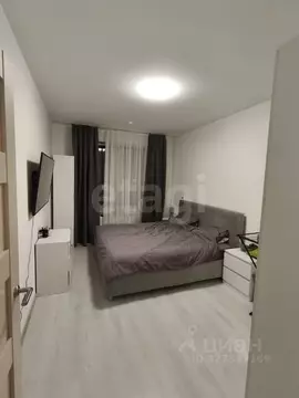 2-к кв. Санкт-Петербург аллея Арцеуловская, 17 (45.0 м)