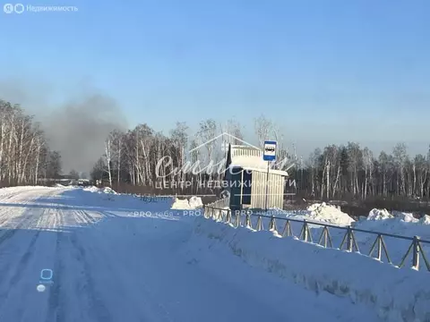 Участок в Тюменский муниципальный округ, Садоводческое товарищество ...