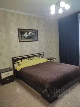 1-к кв. Красноярский край, Красноярск ул. Алексеева, 51 (50.0 м)