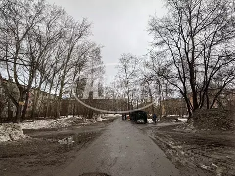 Участок в Пермский край, Березники ул. Ломоносова, 137 (38.73 сот.)